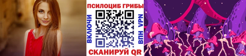 Псилоцибиновые грибы GOLDEN TEACHER  Купить закладки  Волосово 